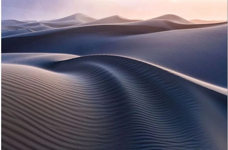 Zoloft and I: Conversation on Medication, Withdrawal, and Life