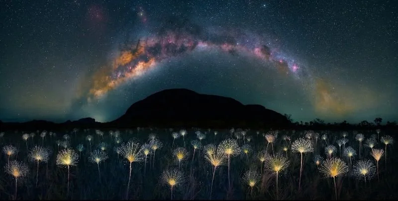 Advice for Families of Adult Children With Recurrent Mental Illness