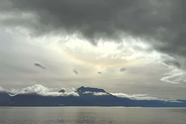 Calm in the Chaos: Overcoming Political Anxiety Using EET to Empower Yourself