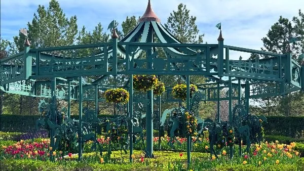 Getting Out of the Carnival Fun House Using (I∞T)® Advanced Level: Story Form