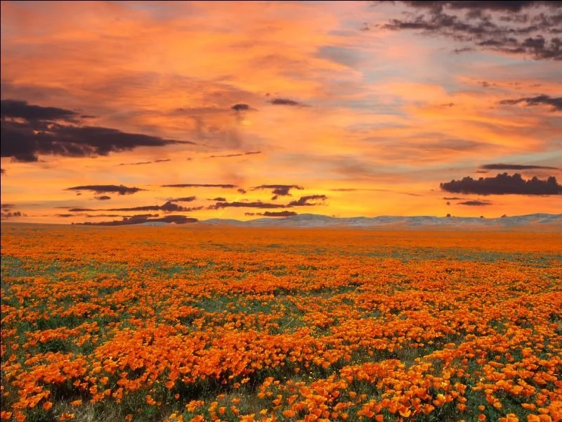 Restoring Your Life After Coming Off Psychiatric Medications