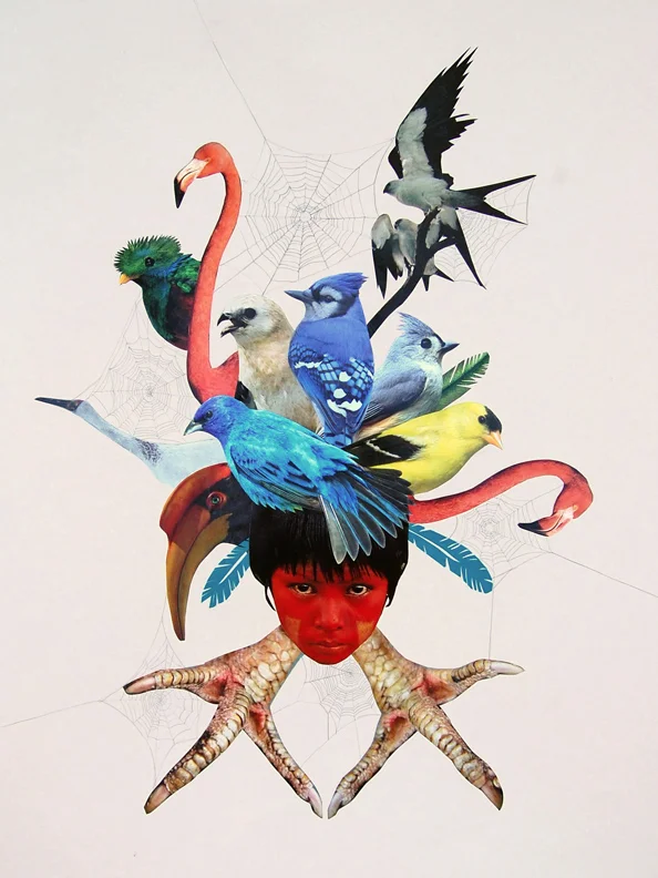 bird boy