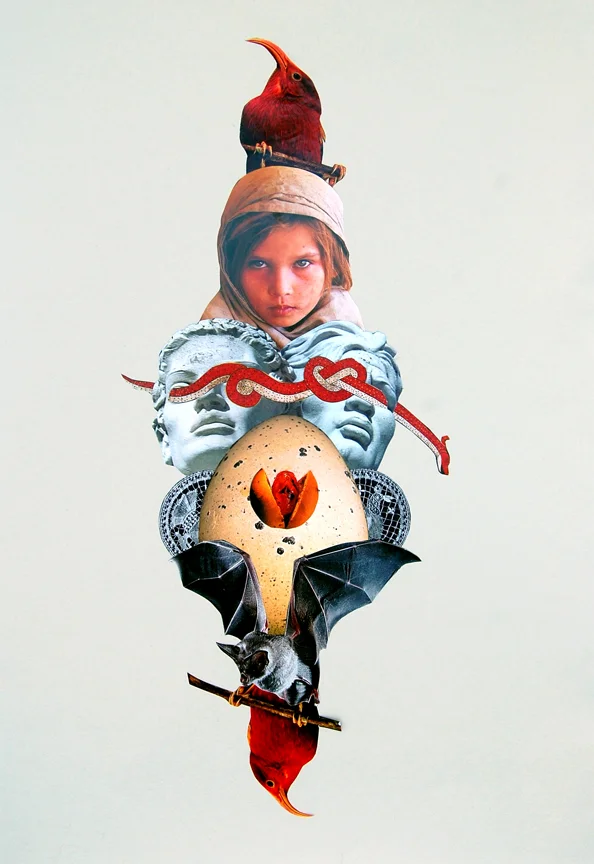 the chicken & the egg