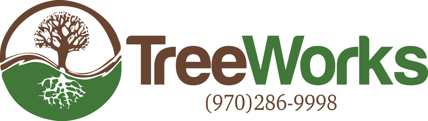 Fort Collins Tree Works