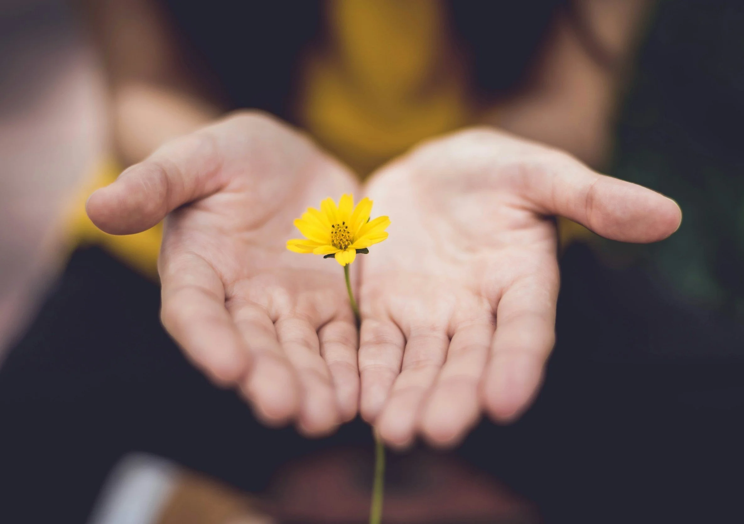 The Center For Family Well-being