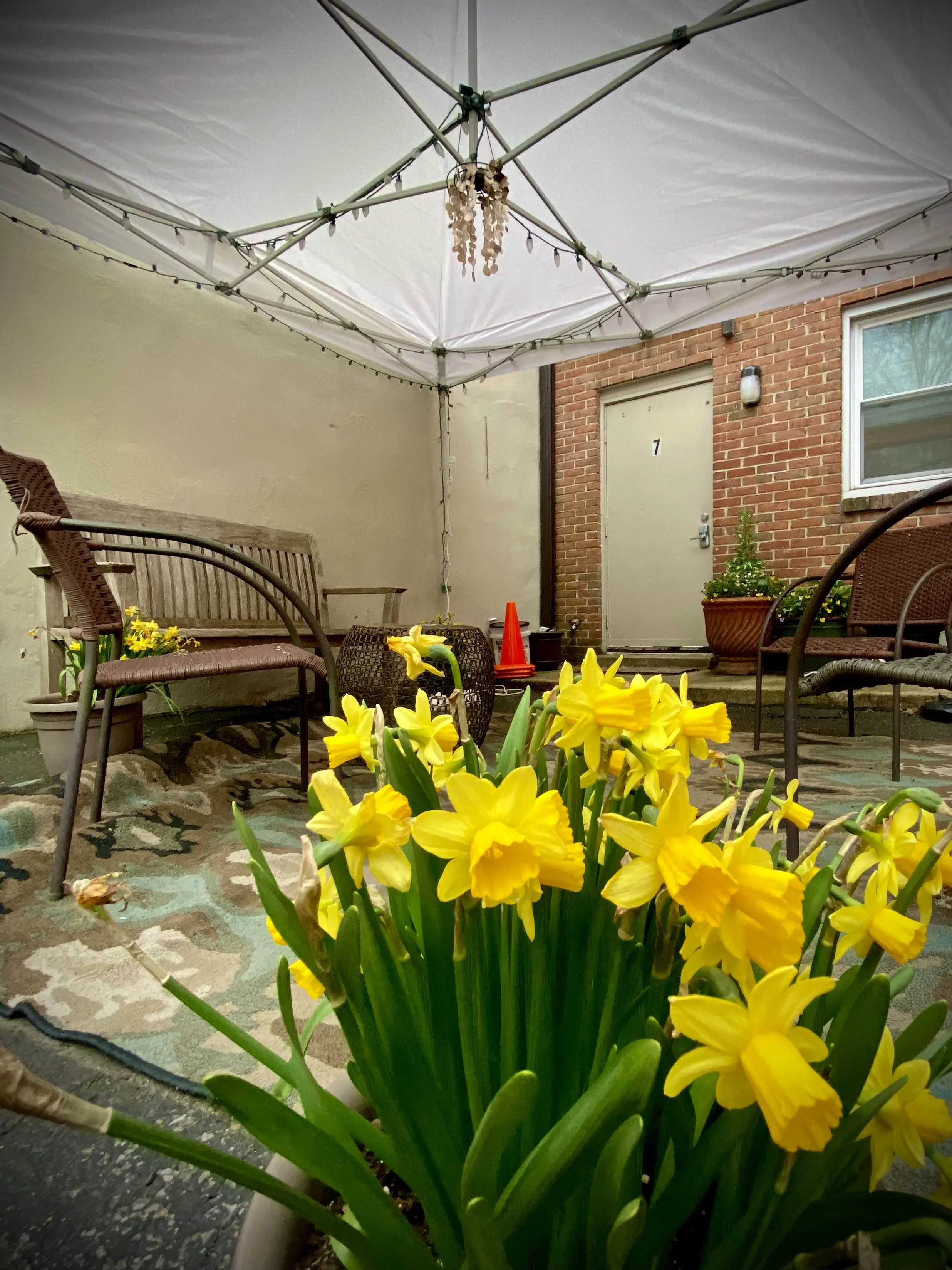 Spring 2022: Letter from the Director