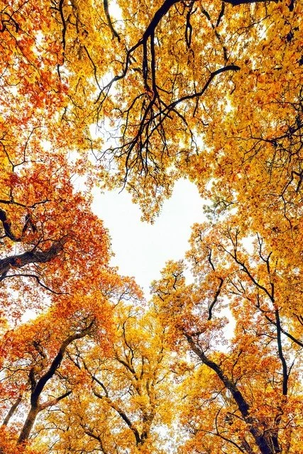 Fall 2026: Resources We Love