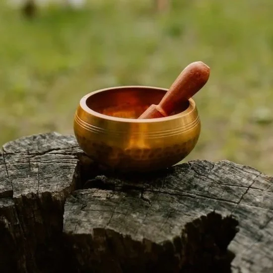 sound healing bowl placed on stump