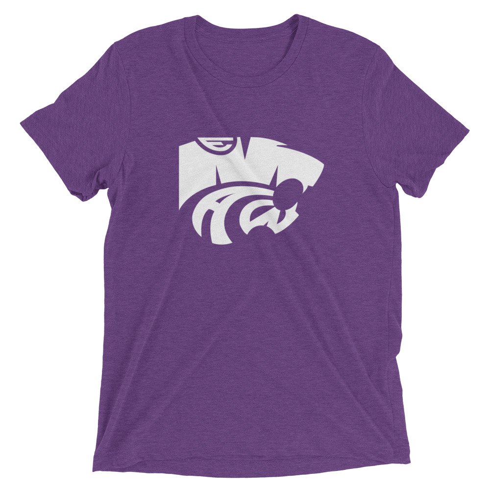 unisex-tri-blend-t-shirt-purple-triblend-front-6238c68401374.jpg