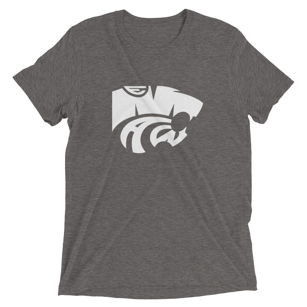 unisex-tri-blend-t-shirt-grey-triblend-front-6238c68401b96.jpg
