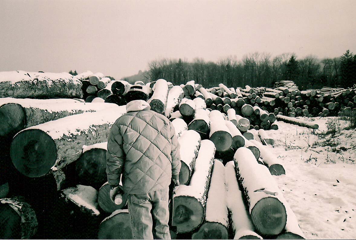 Log Hunting