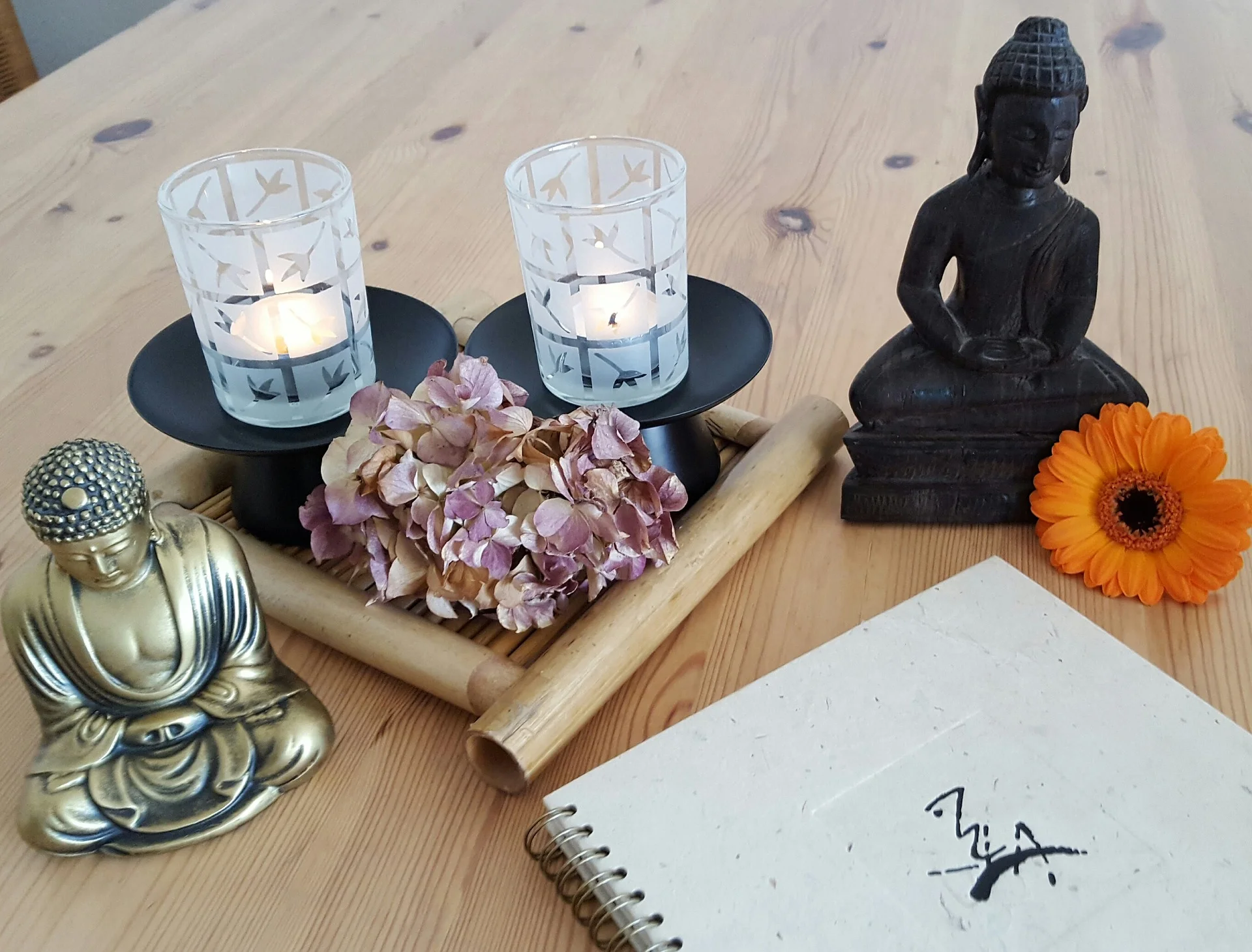 yogaheader.jpg
