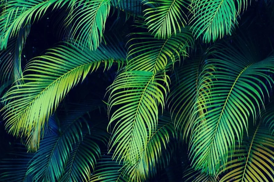 Beachwear Trends 2017