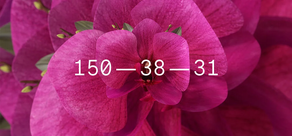 Coloro + WGSN: Color of the Year 2022 | Orchid Flower