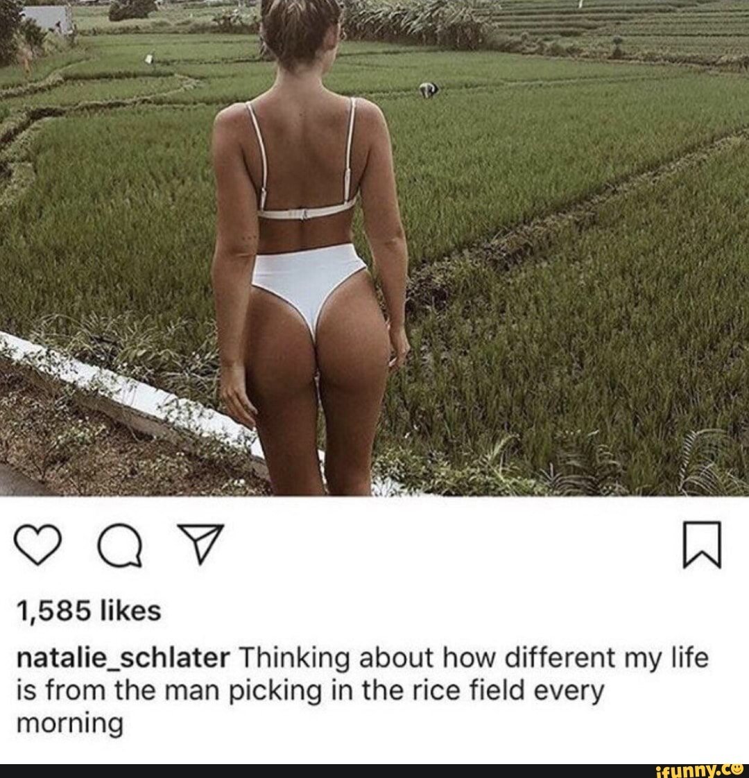 What Do Beagles, Babies, and Bikini Bloggers Have In Common?