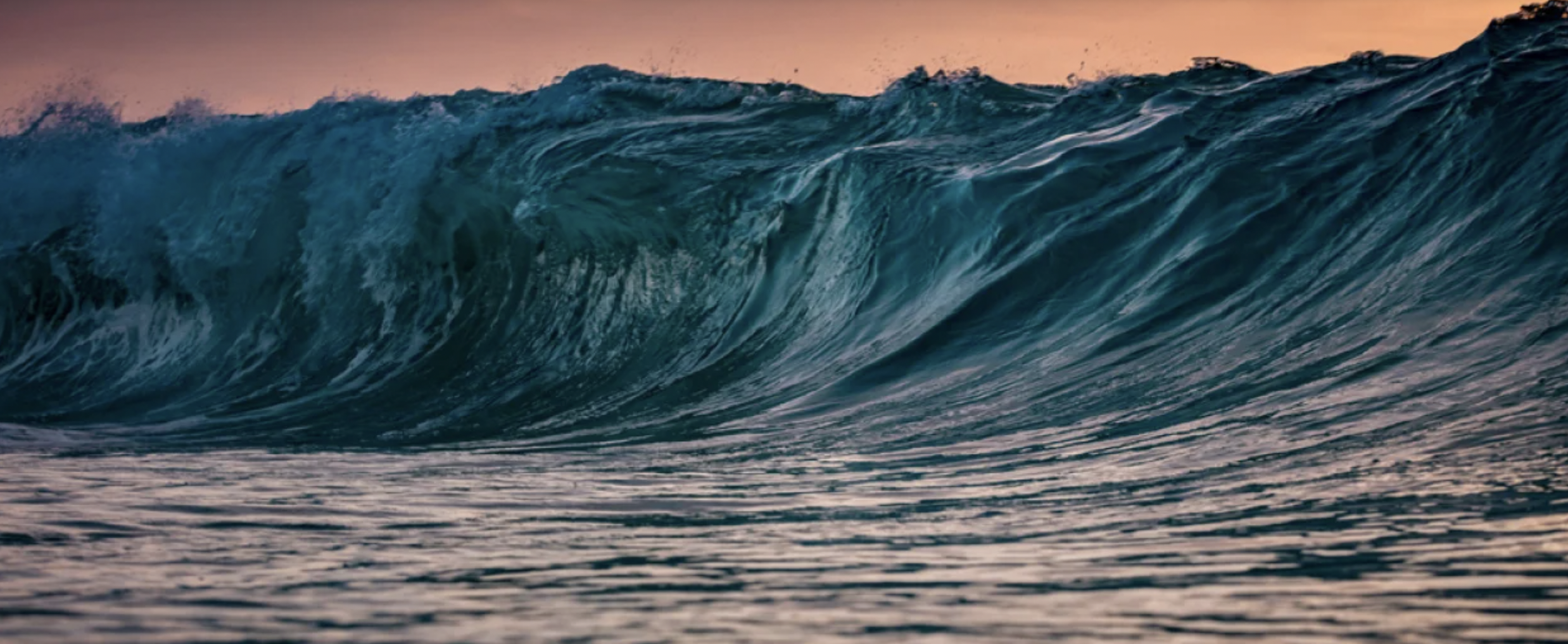 Screen Shot 2022-06-01 at 1.13.34 AM.png