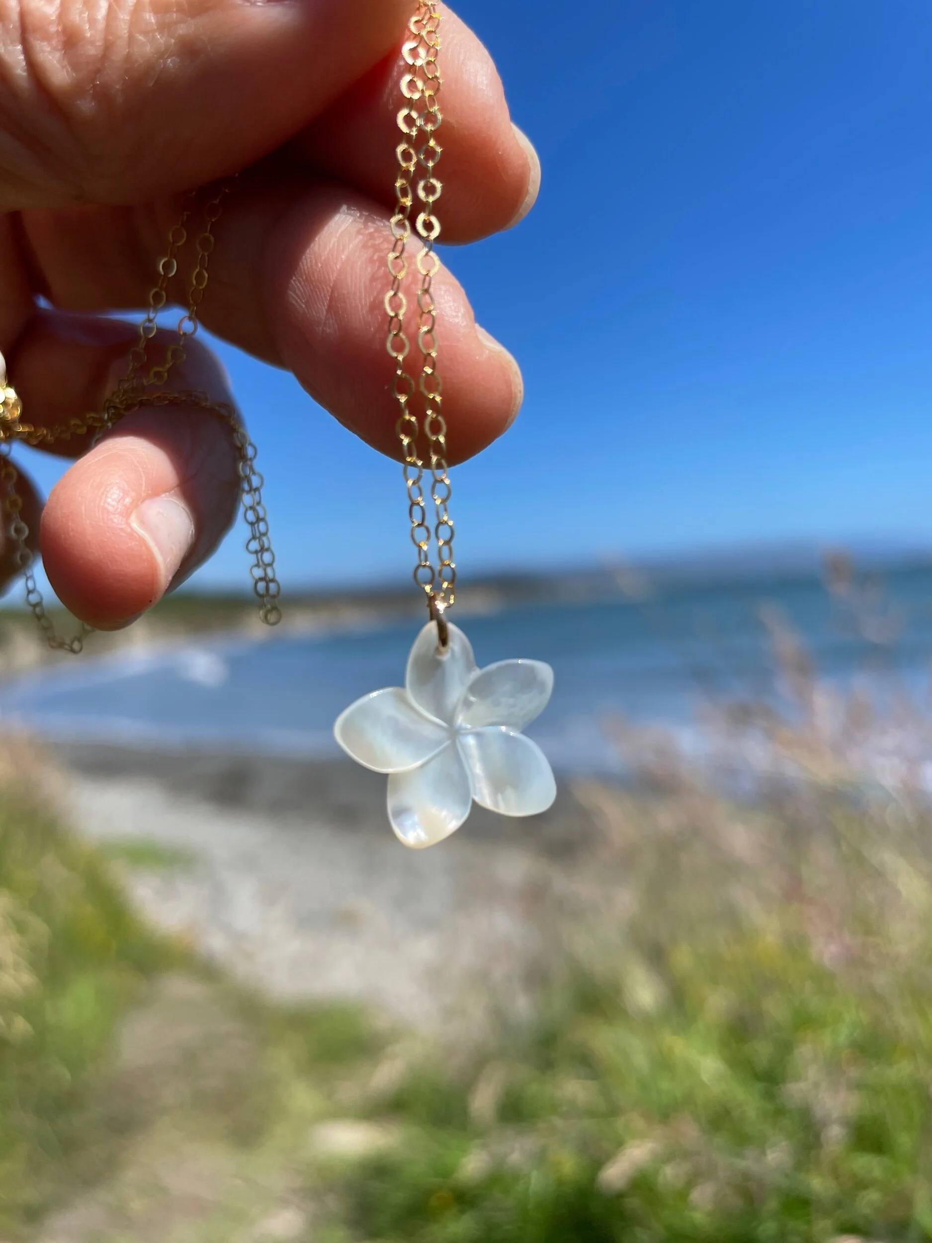 3831AA69-5E7F-4B0A-8A77-35F0EBEDE449