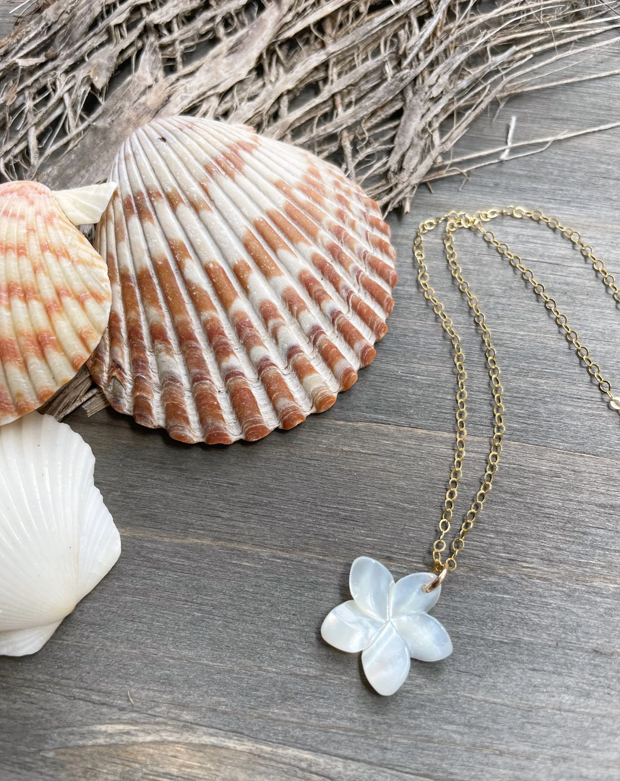 10C6AEF7-FA06-48F1-90CF-DE67AB23DFD7