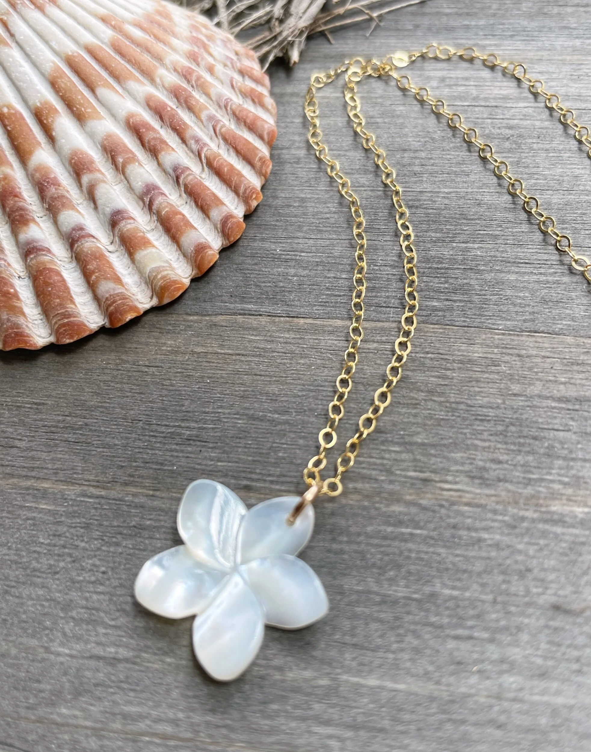 EEB2F3C3-D45B-43B4-9F86-40E1EADD7BBF