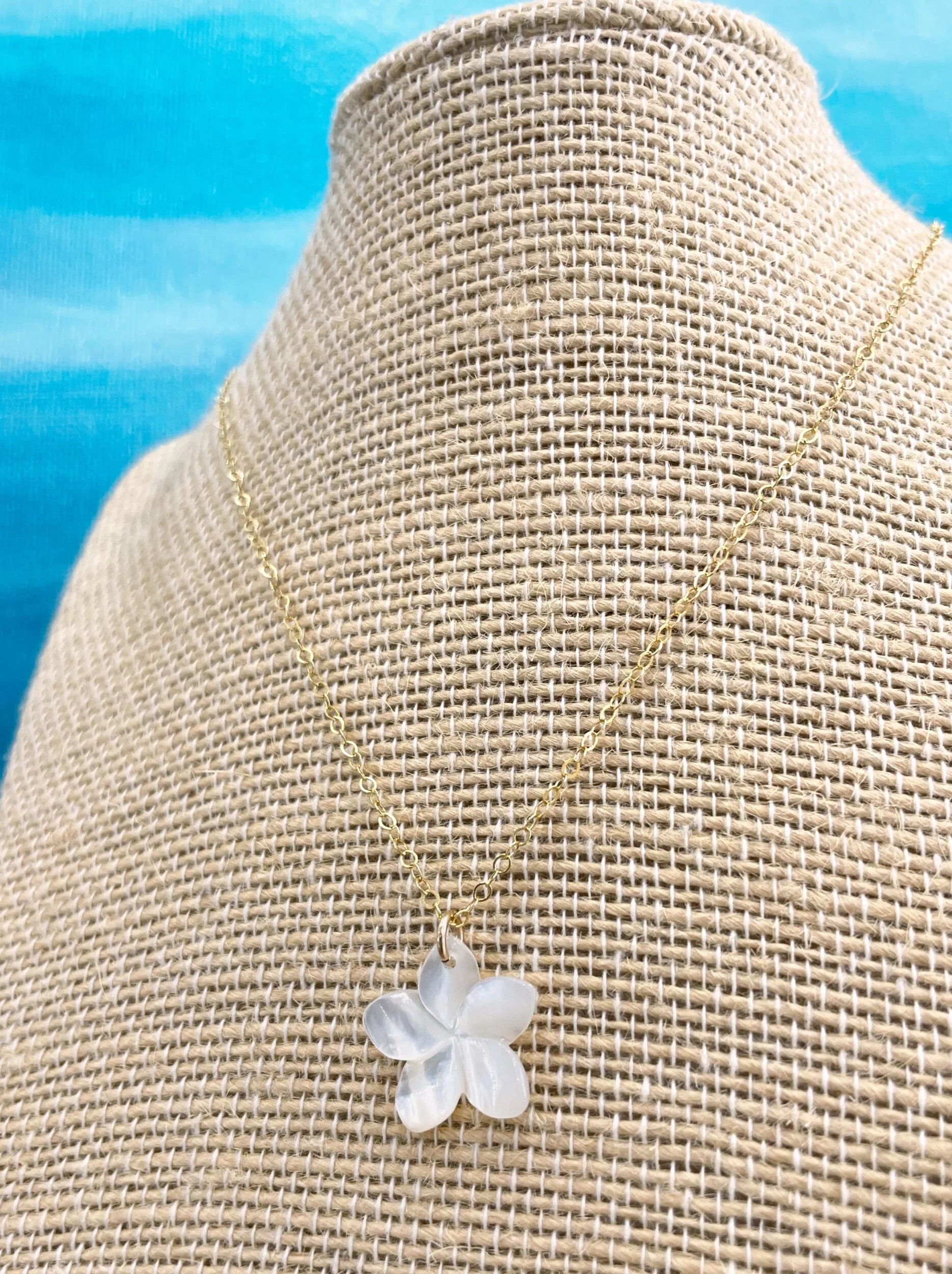 317FD3A5-A7B9-47F4-BA94-4D9C0E038A36