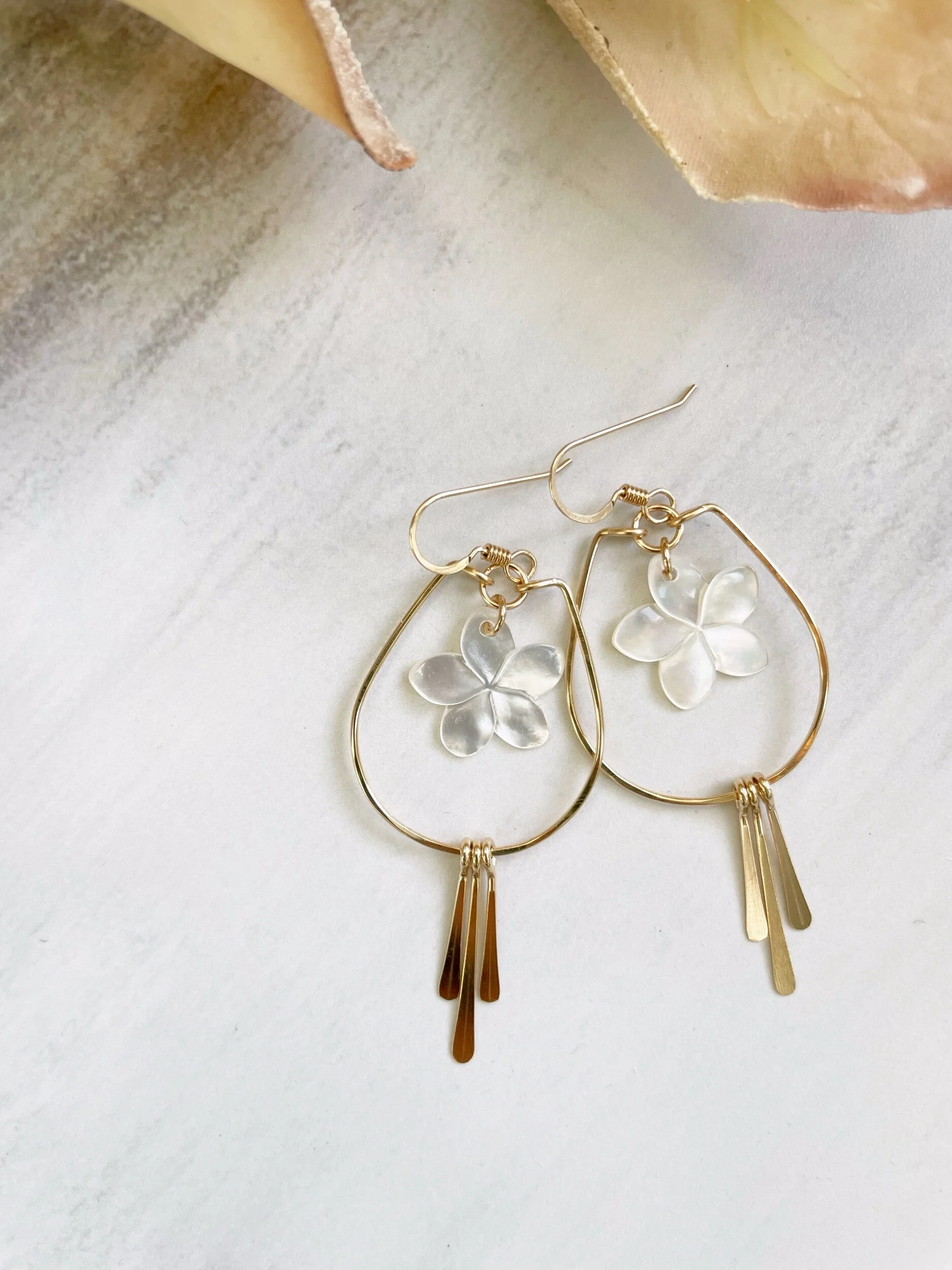 1D44D39D-90C9-477E-871A-2FF80B01B048