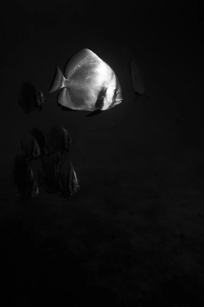 LX0A2195.jpg
