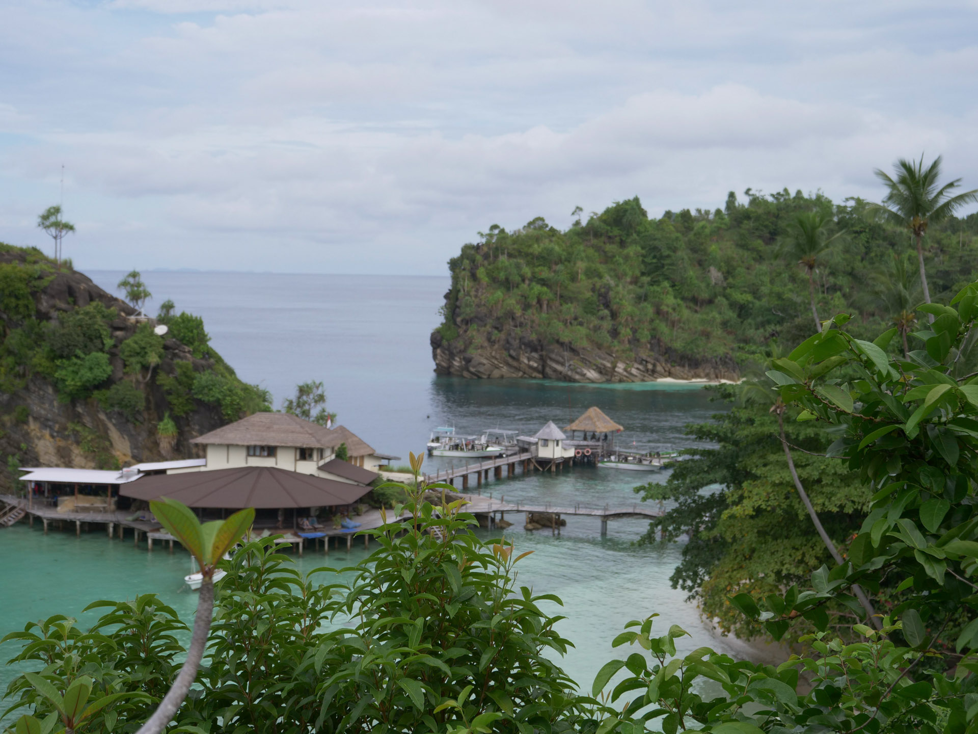 P1000231.jpg