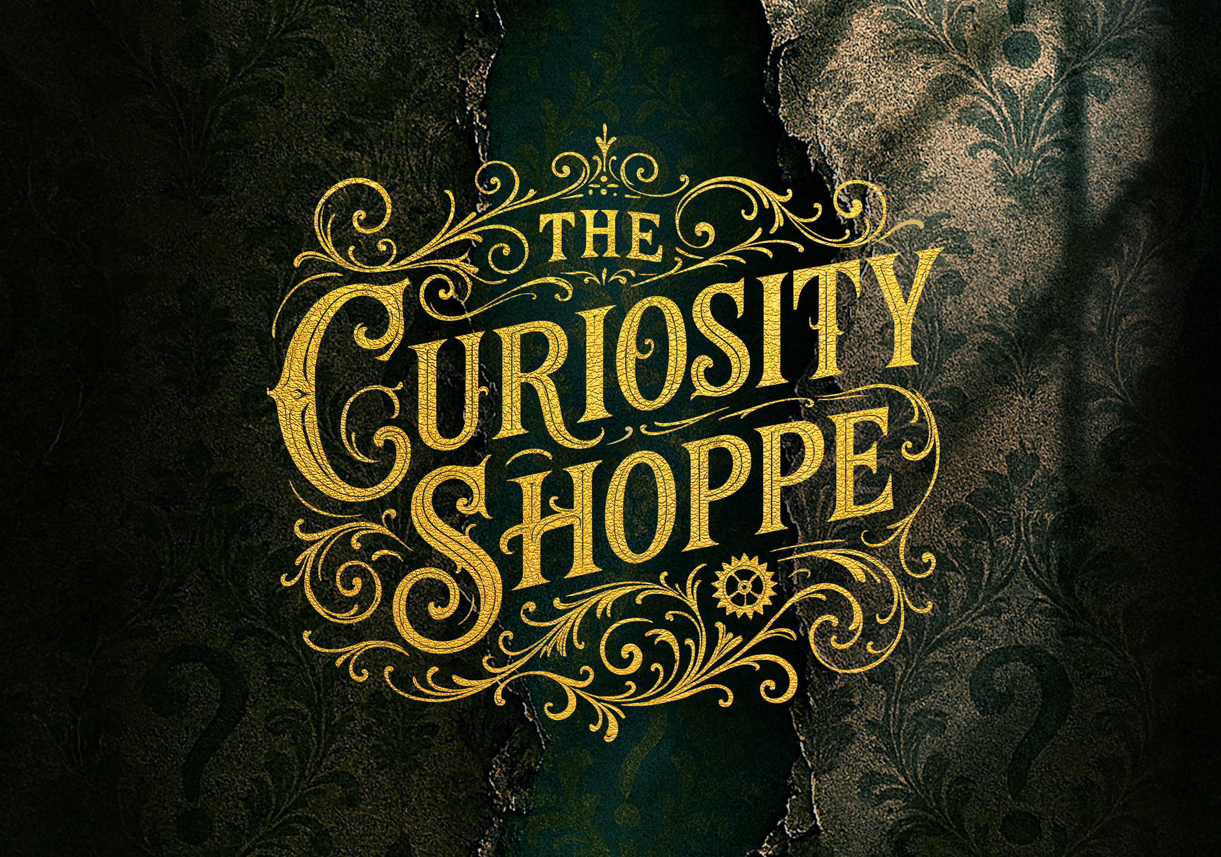 The Curiosity Shoppe and the Next BackSpace!