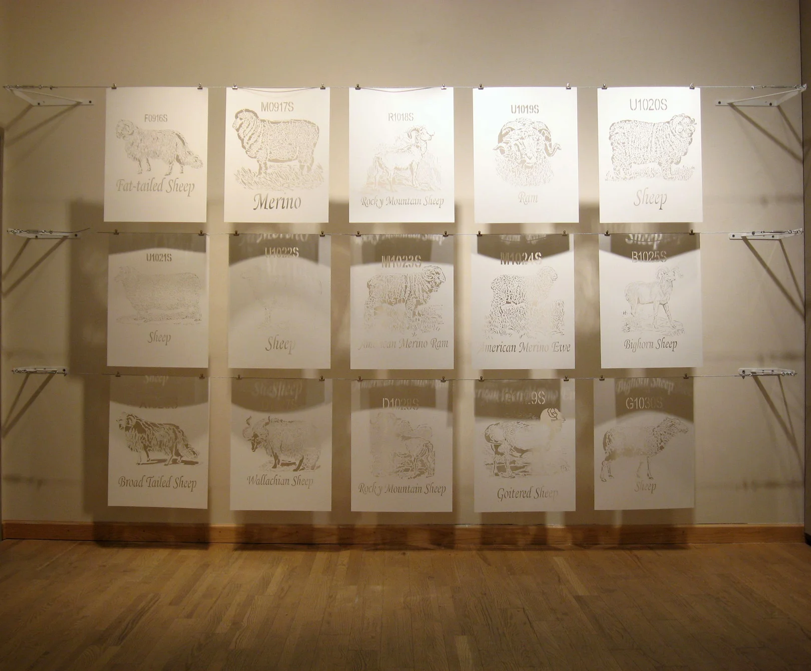 Insomnia, Sheet-Sheep-Sleep, 2008-2012