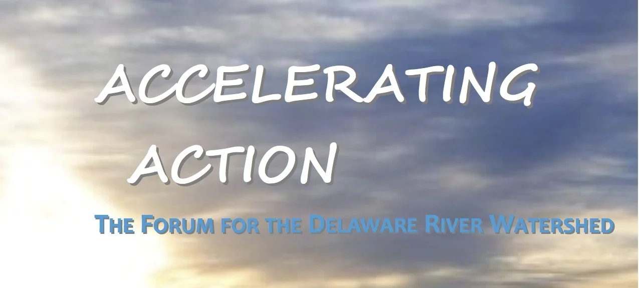 Accelerating Action Program FINAL FINAL (dragged).jpg