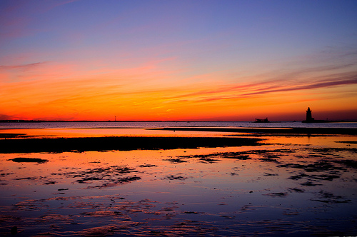 Photo by Nicholas A. Tonelli