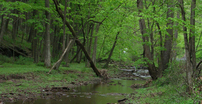 Photograph from the National Park Service