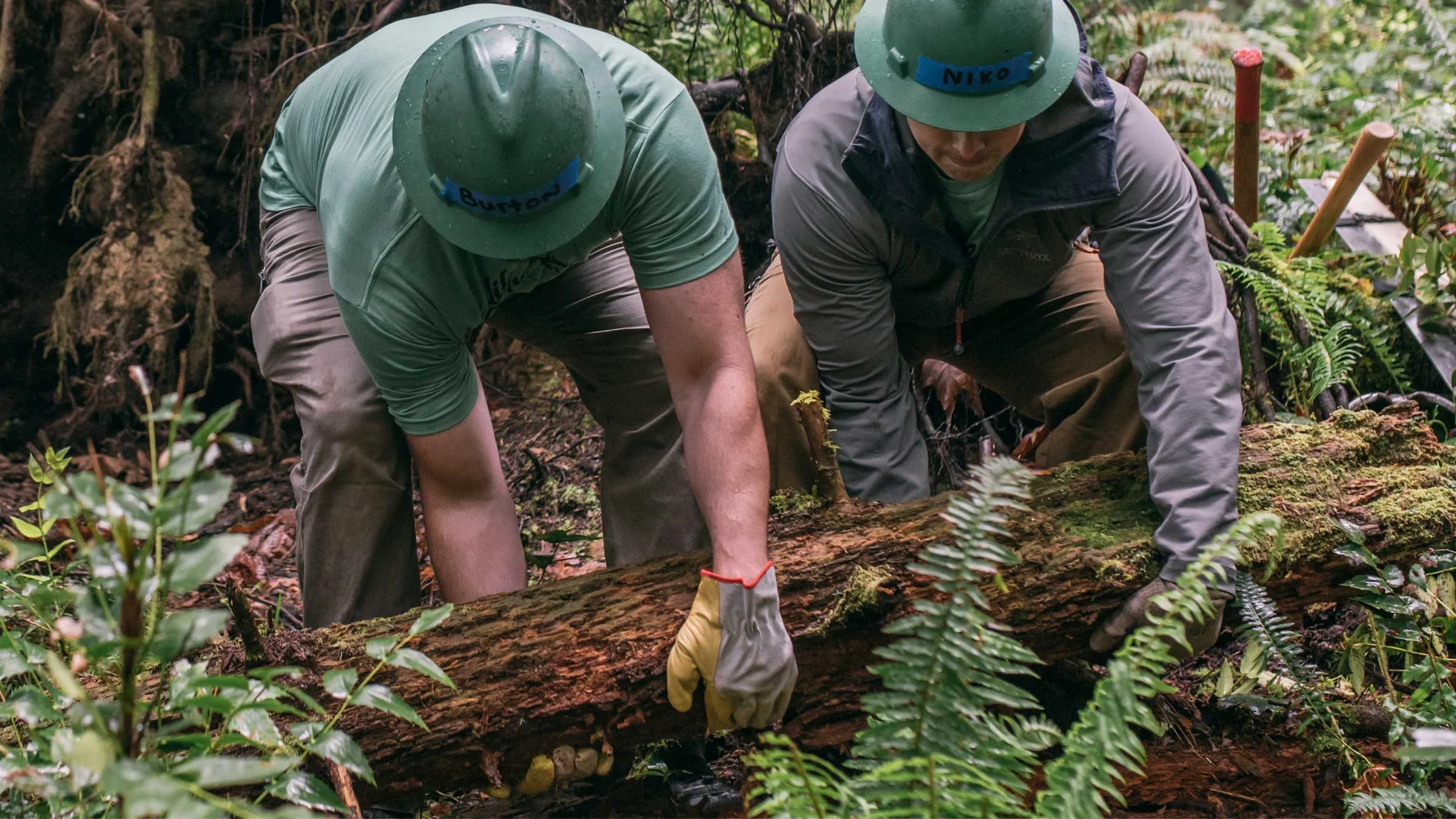 Day of Stewardship at the Delaware River Watergap