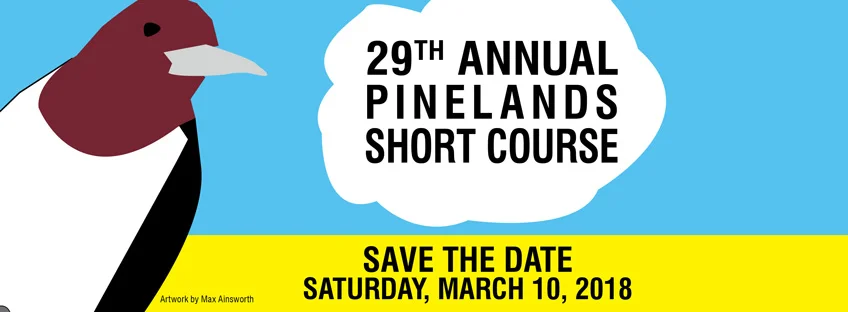 Pinelands_Web.jpg