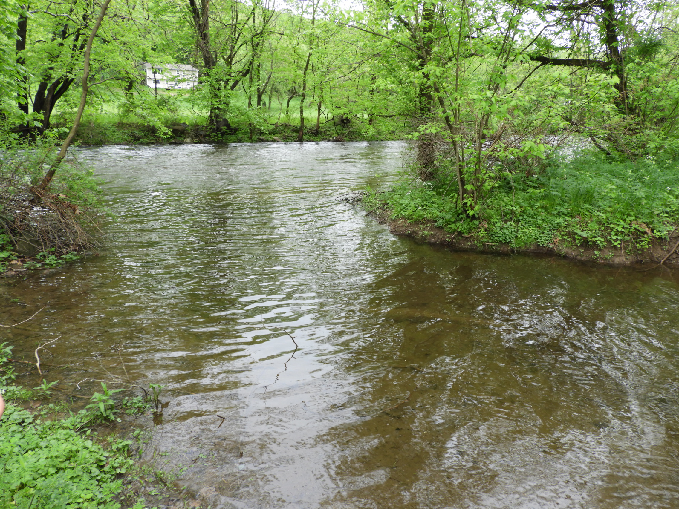 The Musconetcong River in Warren County, NJ