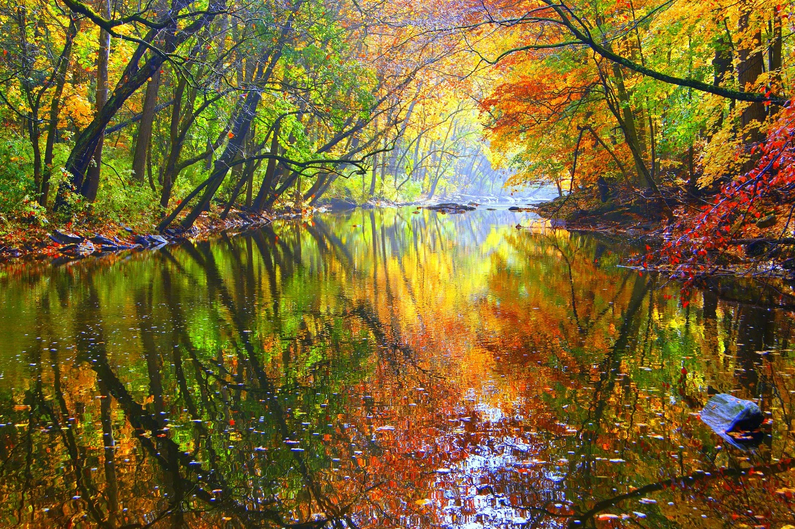 KnuppBabsLandscape1-e1447867781406.jpg