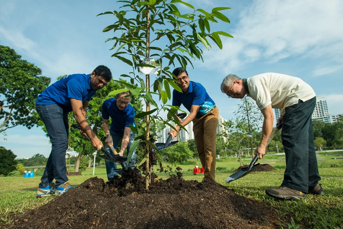 tree-planting.jpg