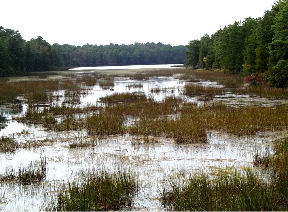 Lake-Absegami.jpg
