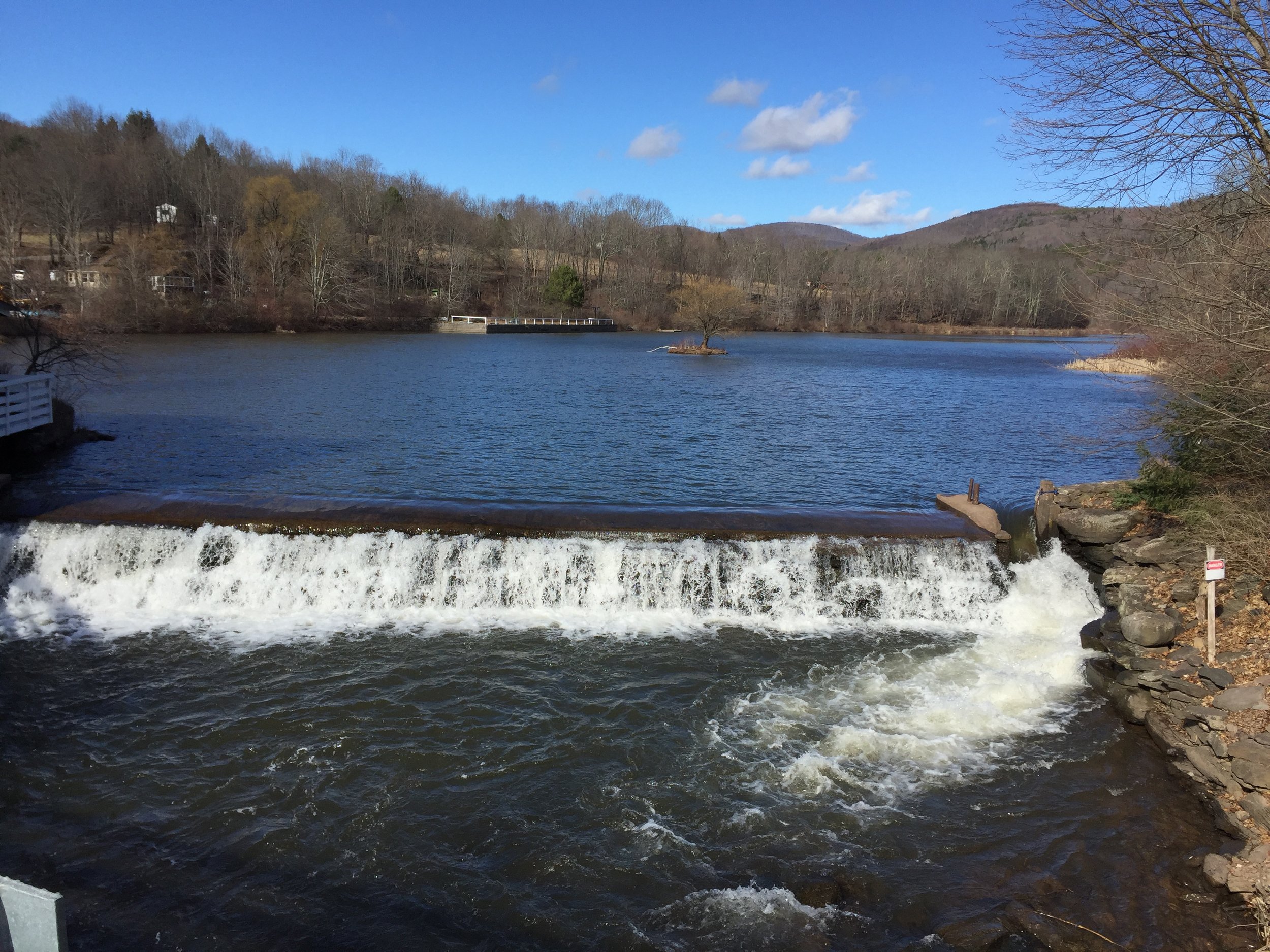 Coalition for the Delaware River Watershed — Trees for Trout: Ashokan- Pepacton Trout Unlimited Improves Habitat for Delaware River Fish