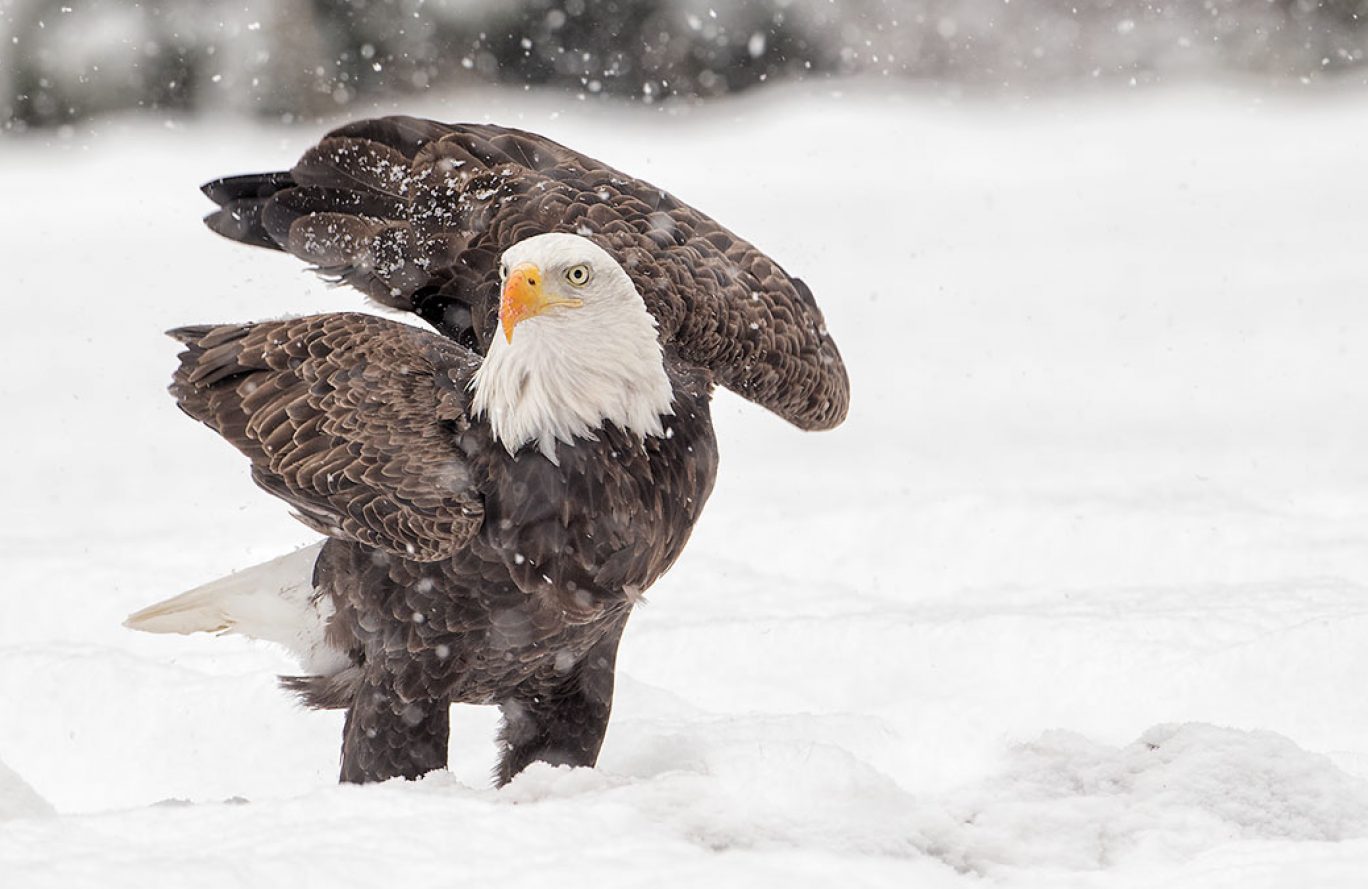 Photo credit: Stephen Davis