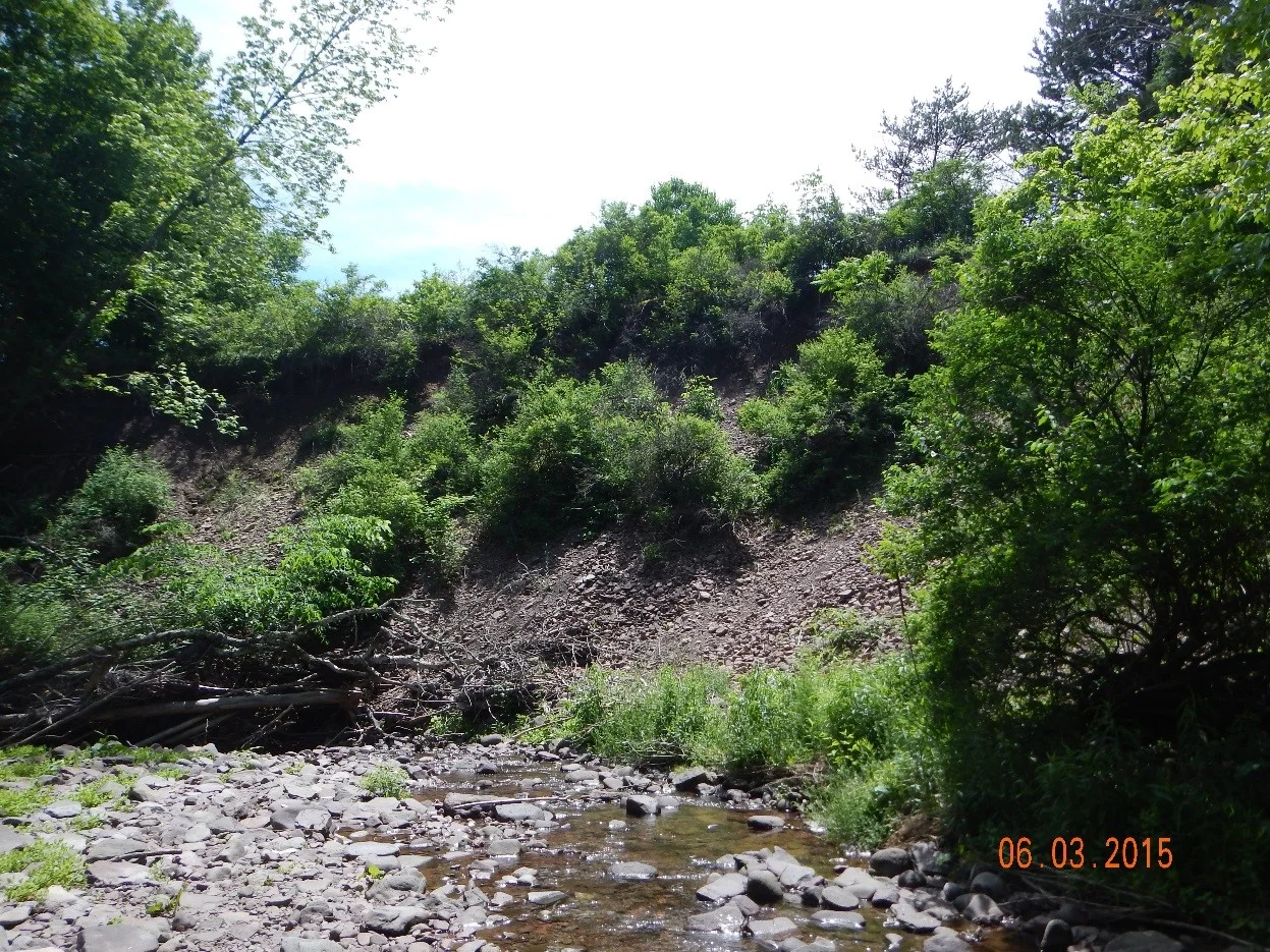 Bank failure, Delaware County, NY