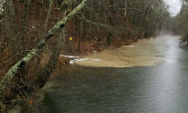 Neversink.trib_2018.01.13_Dragon.Springs.branch%20-%20Copy.jpg
