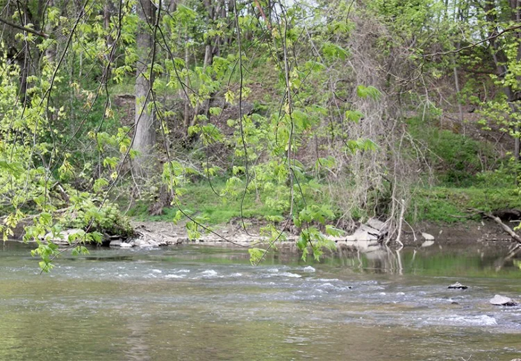 river-cleanup-event.jpg