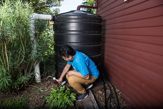 PC: Washington Environmental Council
