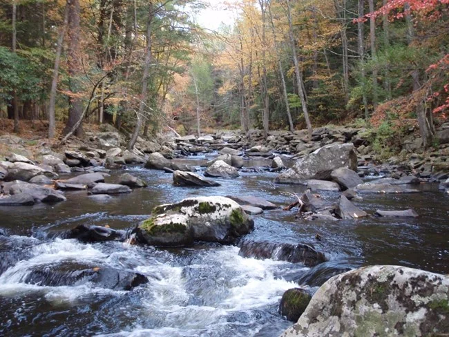 Upper Delaware Scenic & Recreational River (PA & NY)