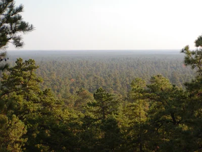 Pinelands National Reserve (NJ)