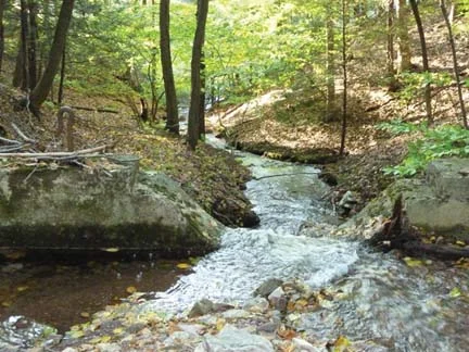 stream.jpg