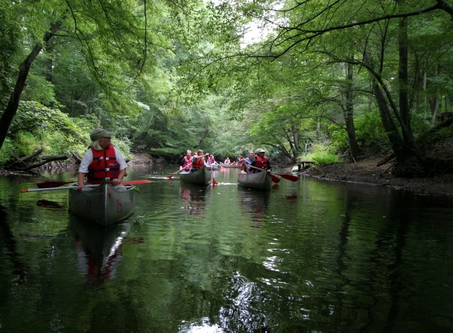 Rancocas Creek (NJ)