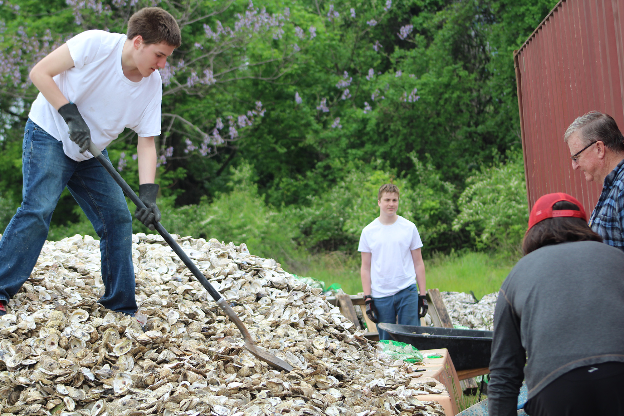Shell-Pile-smaller-res.jpg