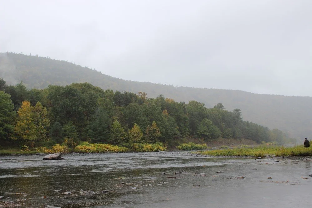 The East Branch of the Delaware River in Hancock, N.Y.